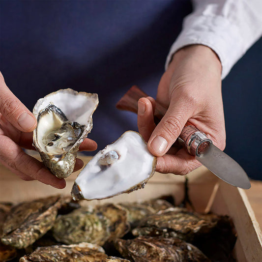 A person holding an open oyster with an Opinel wooden oyster knife.