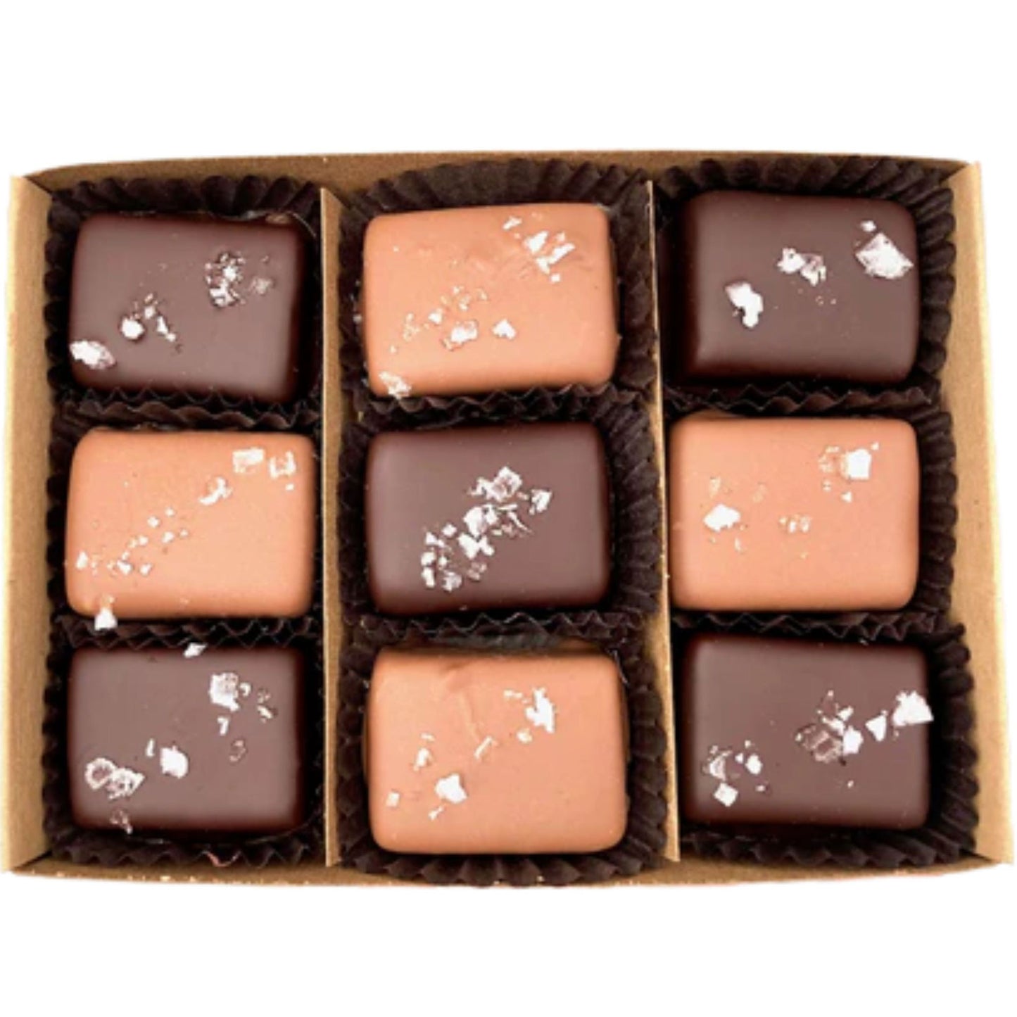 Dark + Milk Chocolate Covered Salted Caramels- 9 piece